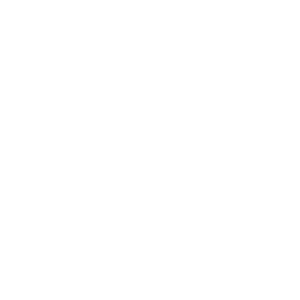 Bonsan